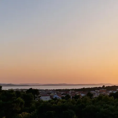 With Panoramic View زادار